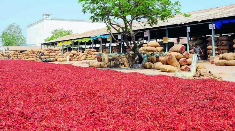 The Centre is disputing the chilli output figures submitted by the state government.