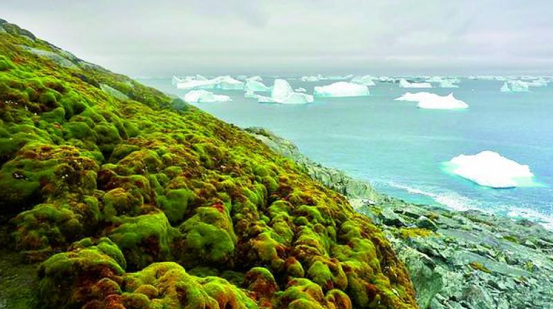 ven  modest future warming could lead to further, rapid changes in Antarcticas ecosystems.