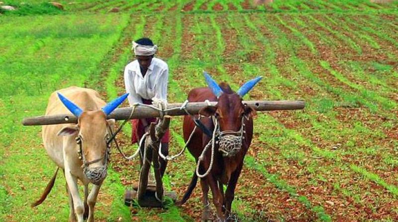 On I-Day, Maharashtra govt vows to work for debt-free farmers in state