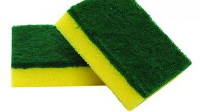 Dispose the sponge if odour is detected. Accidental consumption of these bacteria can cause stomach infections.