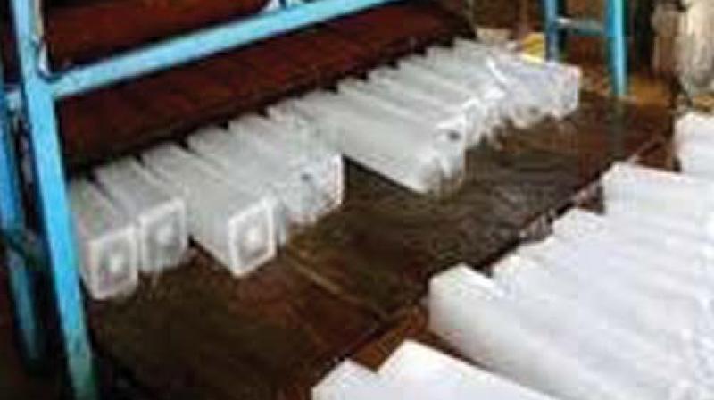 Officials found high amounts of fecal coliform bacteria from some factories whereas in others, waste was dumped near freezer