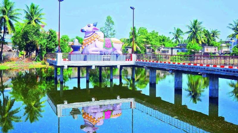 The Nandisagar pond besides Guntur-Tenali Road with statue of a bull in the middle of the pond connected with walk-path at Nandivelugu in Guntur district. (Photo: DC)