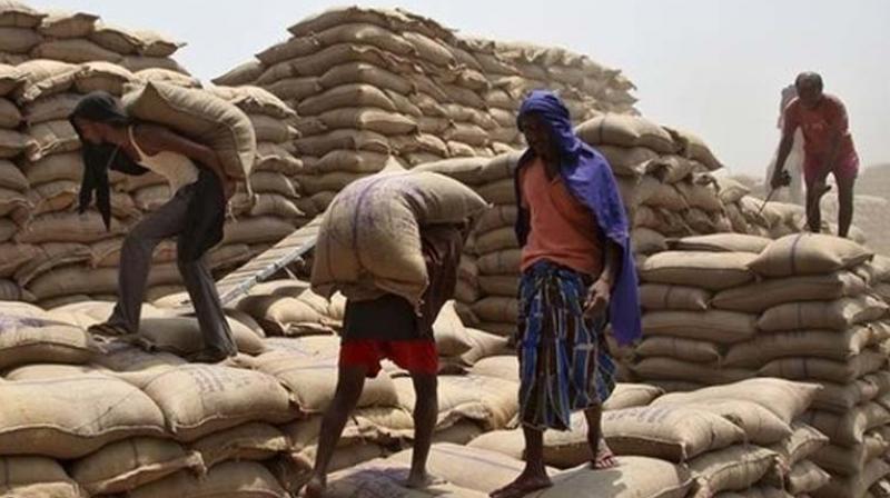 Govt has fixed a higher rice procurement target at 375 LT on hopes of good production. (Photo: PTI)