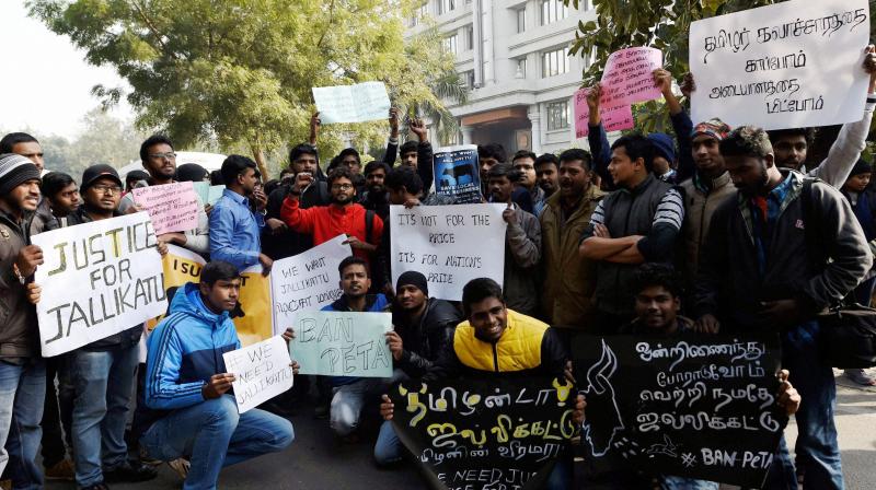 Youngstres and students during a protest to lift the ban on Jallikattu and impose ban on PETA, at Tamil Nadu Bhawan in New Delhi. (Photo: PTI)