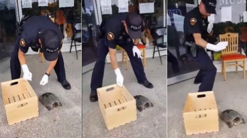 Police officer scared of turtle. (Photo: Video screengrab)
