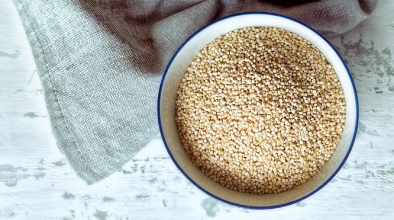 Quinoa (pronounced KIN-wah) already grows well in harsh conditions such as salty and low-quality soil, high elevations and cool temperatures, meaning it can flourish in locales where common cereal crops like wheat and rice may struggle.