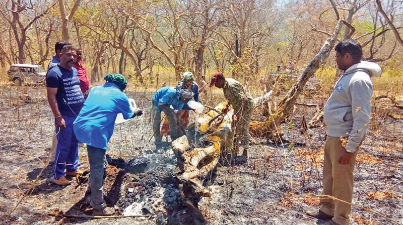 Foresters dousing the fire sparks in the partially burnt trees inside the MTR woods. (Image DC)