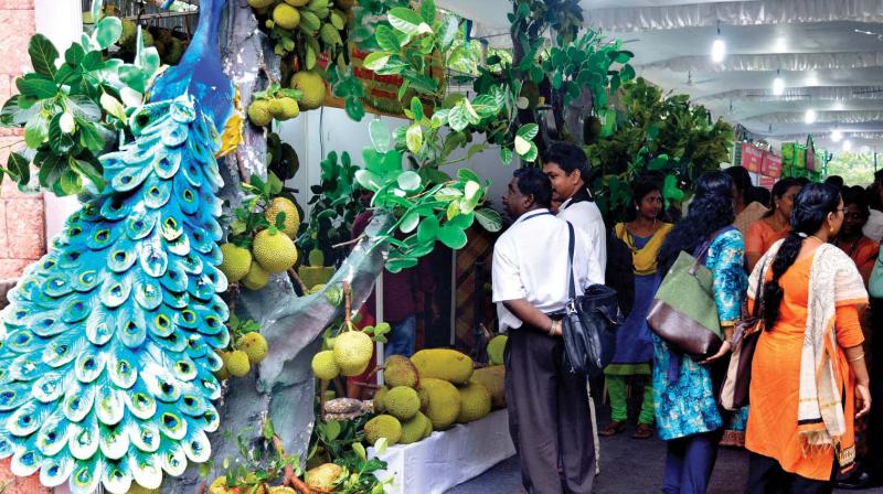People visit a stall of agriculture department at Anantha Vismayam exhibition organised as part of the second anniversary of the LDF government at Kanakakkunnu in Thiruvananthapuram.  DC