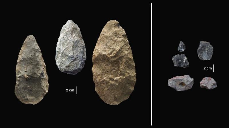 This image provided by the Smithsonians Human Origins Program shows artifacts found in southern Kenyas Olorgesailie Basin. For hundreds of the thousands of years, people living there made and used large stone-cutting tools called handaxes, left. At right are more sophisticated tools, found in the same area, which were carefully crafted and more specialized than the large, all-purpose handaxes. (Smithsonian - Human Origins Program via AP)