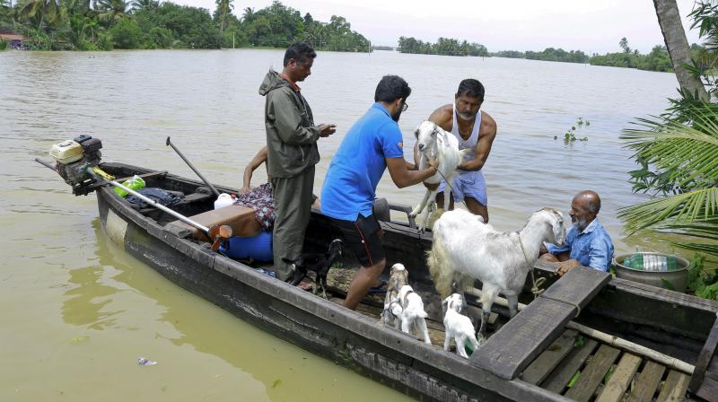 The biggest heroes are fishermen, they came in 600 boats and rescued people, said Tourism Minister KJ Alphons. (Photo: AP)