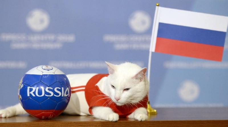 Achille the cat, one of the State Hermitage Museum mice hunters, poses for a photo with Russia national flag during a ceremony in Saint Petersburg. (Photo: AFP)