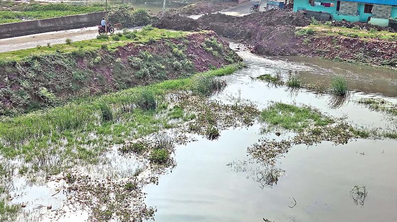 Civic authorities have broken the canal connecting Korattur lake thereby letting  industrial effluents and sewage enter the lake. (Photo: DC)