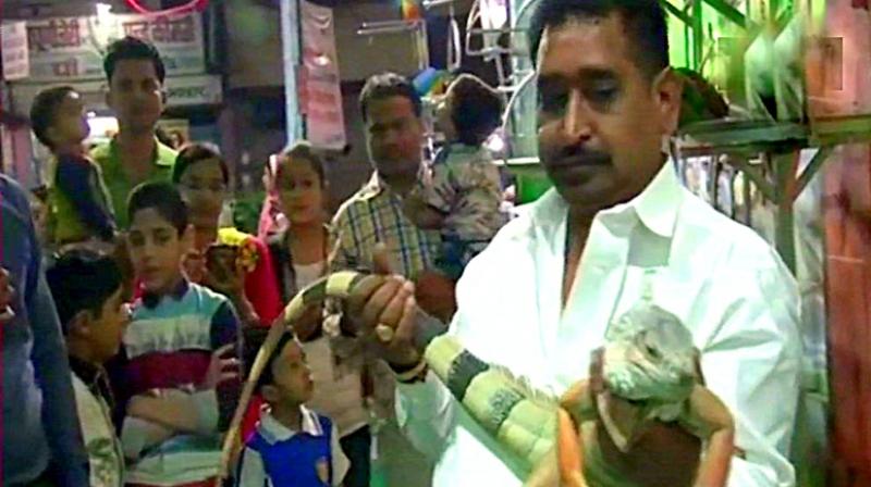 Raju bought the 4.5-foot-long lizards from Mumbai the same day he had heard of them. The man, who already has 4-5 lizards as pets, had been wanting to have an iguana as a pet for a long time. (Photo: ANI | Twitter)