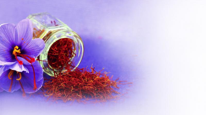 Saffron can be bought whole in threads or strands (stigmas) or in powdered form.
