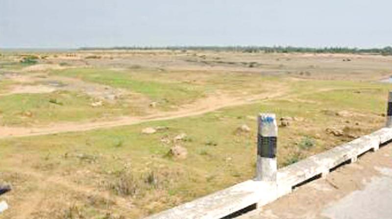 Spot inspected by Kancheepuram collector P. Ponniah at e Palar river basin for constructing check dams. (Photo: DC)