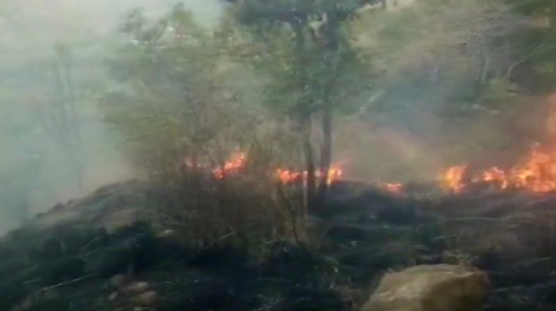 Indian Air Force has been instructed to help in rescue operations and evacuation. (Photo: ANI/Twitter)
