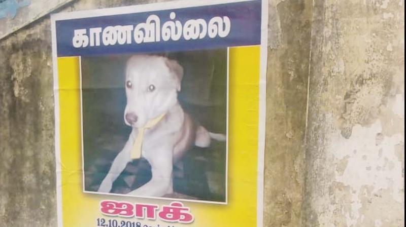 One of the posters near Ambattur MTC depo(Photo: DC)