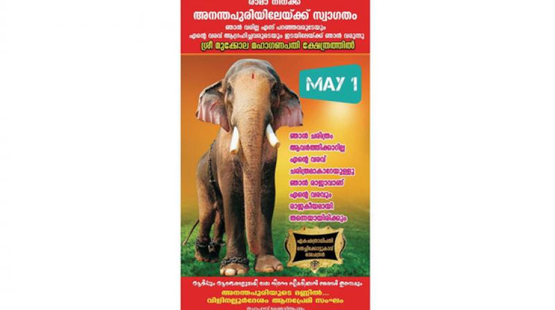 However, elephant activists have taken strong exception to the temples decision to parade Thechkottukavu Ramachandran during its annual festival on May 1.
