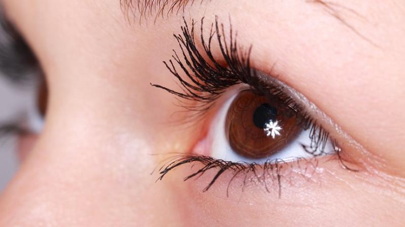 Your eyes can predict Parkinsons disease risk. (Photo: Pixabay)