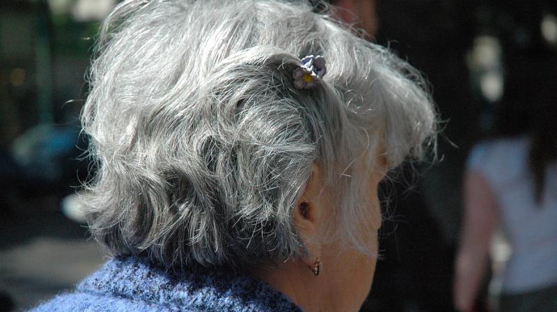 Aging leads to the accumulation of many different pathologies in the brain. (Photo: Pixabay)