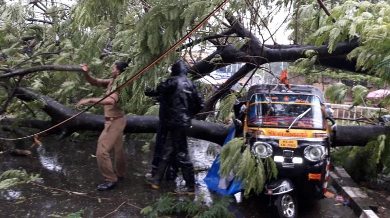 Visual from Trivandrum: Heavy rains, strong winds cause destruction in Kerala. (Photo: ANI/Twitter)