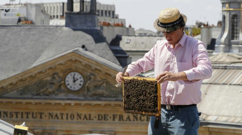 Audric de Campeau is a French urban beekeeper, and his beehives sit atop monuments and office buildings and on rooftop terraces in the French capital. (Photo: AFP)