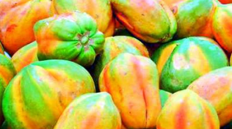 Tadipathri is the centre for production of orange while Anantapur suburbs are known for Papaya and Madakasira. Kalyanadurgam is the producer of pomegranate which grows based on different climatic and soil conditions.