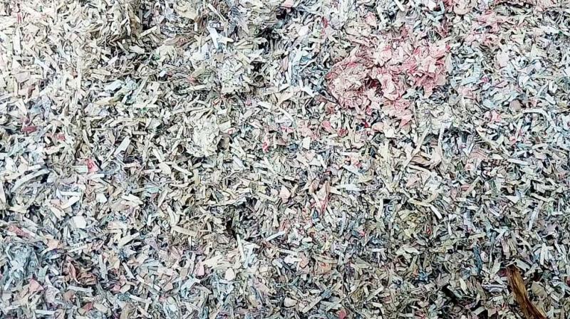 Shredded notes, stuffed in cloth bags to prevent cement sheets from breaking, were found in a hardware store in Vaniyambadi near Vellore on Saturday. (Photo)