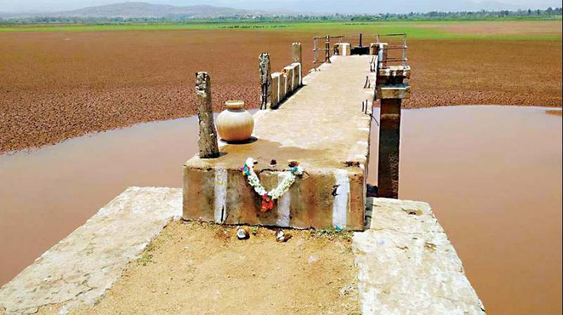 Revenue department records say the tank is spread across 476 acres and irrigates around 1,500 acres throughout the year, enabling farmers to reap a good harvest of paddy, sugarcane and banana crops.