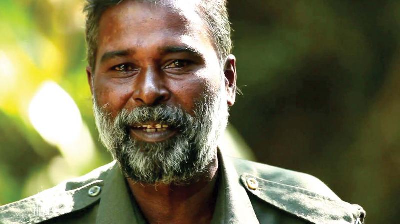 Renowned wildlife photographers, forest officials,  scientists, botanists, tourists, those who were lucky to cross Kannans path before he died on June 21 never came away from Periyar Tiger Reserve empty handed.