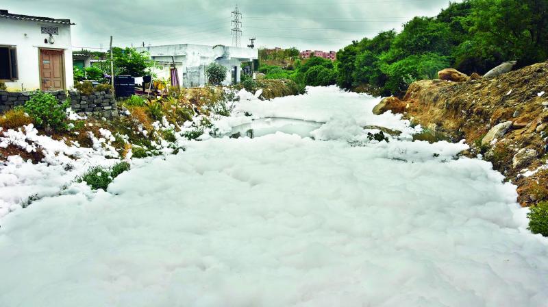 Dharaninagar drain is connected to the Parakhi Cheruvu Lake which has around five colonies surrounding it.