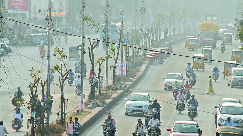 A file picture of tress on the Malakpet Dilsukhnagar stretch being trimmed down by the Hyderabad Metro Rail Works ahead of being translocated to the Outer Ring Road (Photo: DC)