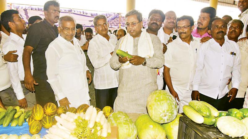 Chief Minister Siddaramaiah after inaugurating a building at APMC Yard in Mysuru on Saturday  (Photo: KPN)