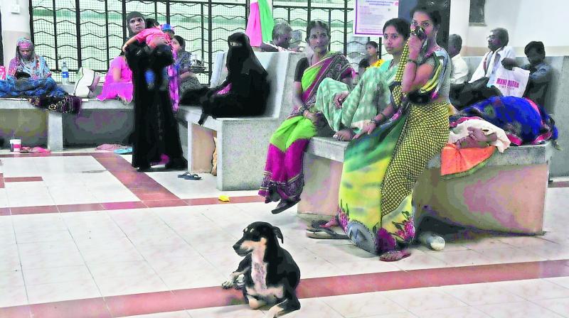 Its a dogs life for patients and their attenders who were shifted out from the second floor of the old Osmania General Hospital, as rain water seeped in due to heavy rains