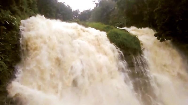 A view of the Abbey Falls near Madikeri. Kodagu has been receiving heavy rains since Tuesday (Photo: KPN)