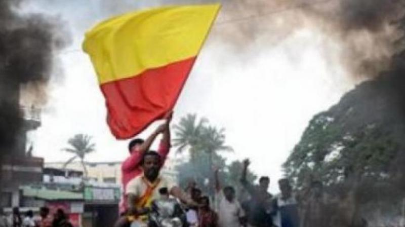 e also demanded that  the government should go ahead with the move to adopt a state flag and on November 1(Rajyotsava Day), the government should formally hoist the flag   (Representational Image)