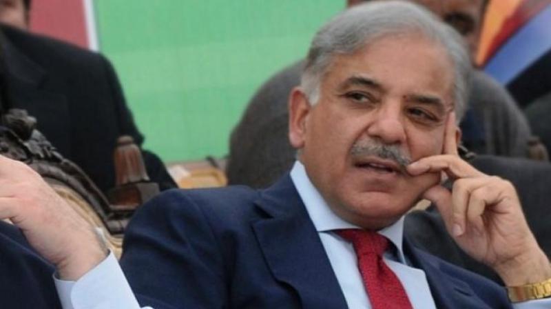 Nawaz Sharif, who resigned from his post after the top court disqualified him, was quoted by The Express Tribune as saying that he wished to see his brother Shehbaz appointed the next prime minister. (Photo: AFP)