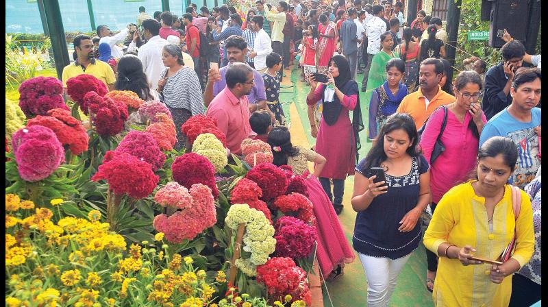 Visitors throng the Independence Day flower show at Lalbagh on Sunday (Photo: DC)