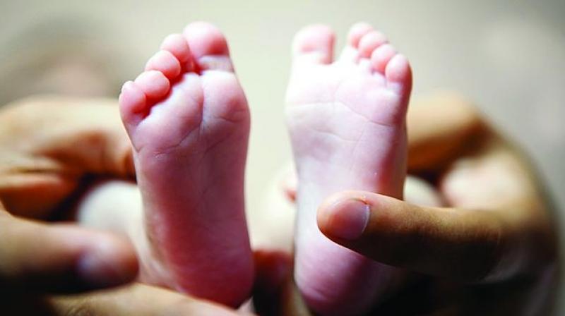 The idea of making surrogacy an altruistic undertaking was rejected