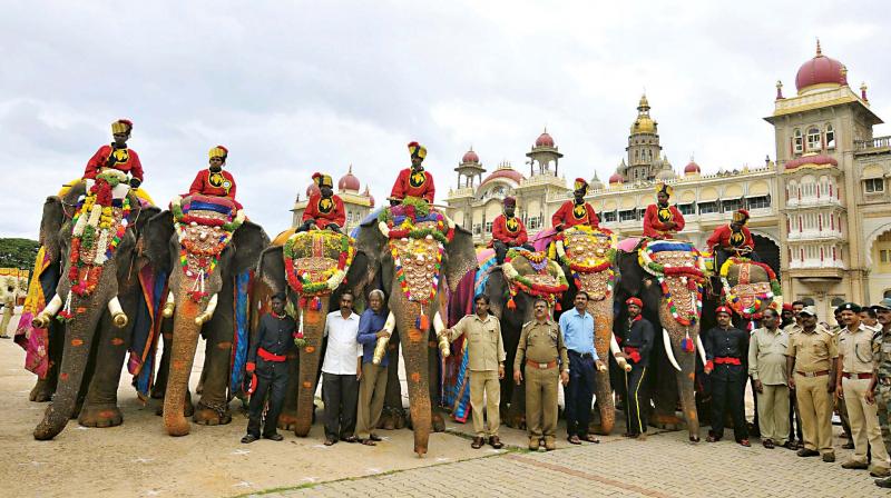 First batch of Dasara elephants arrives in Mysuru on Thursday (Photo: KPN)