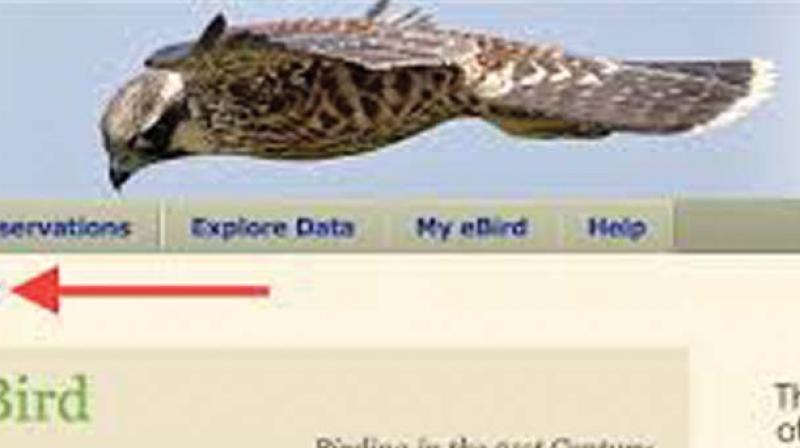 Kerala: Bird survey put on hold