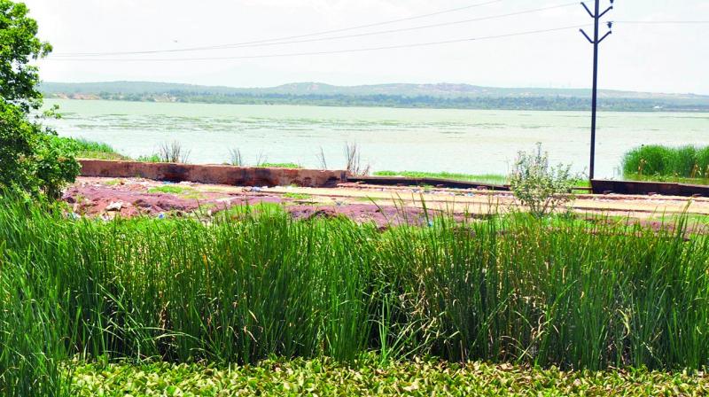Surplus weir of Nellore tank at Moolapet in Nellore city (Photo: DC)