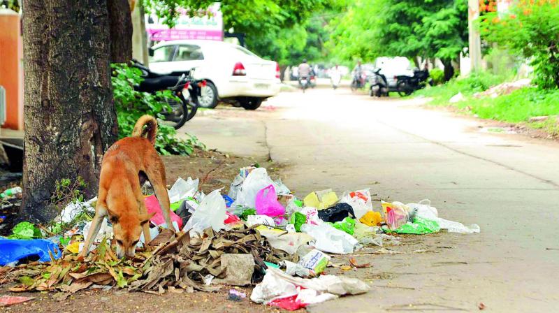 Garbage piles at every nook and corner in Guntur (Photo: DC)