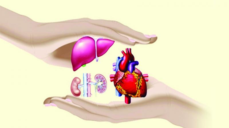 Currently, 1,500 recipients are waiting for kidney, 500 for liver and 50 for heart, according to the Jeevandan Telangana. (Representational Image)