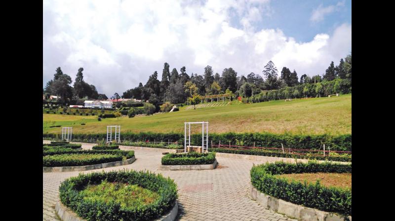 The public garden being developed at Fern Hill in Ooty by the horticulture department of Karnataka (Photo: DC)