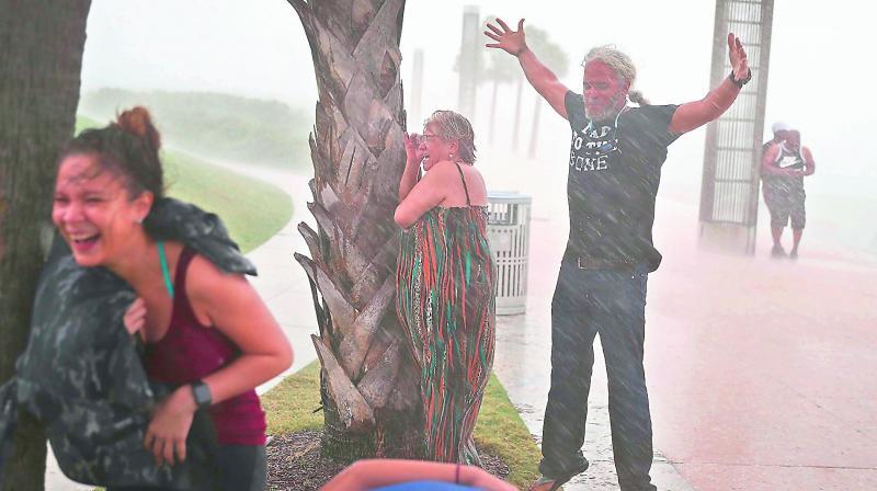 People take shelter behind trees from the high winds and rain as Irma approaches in Miami Beach (Photo: AFP)