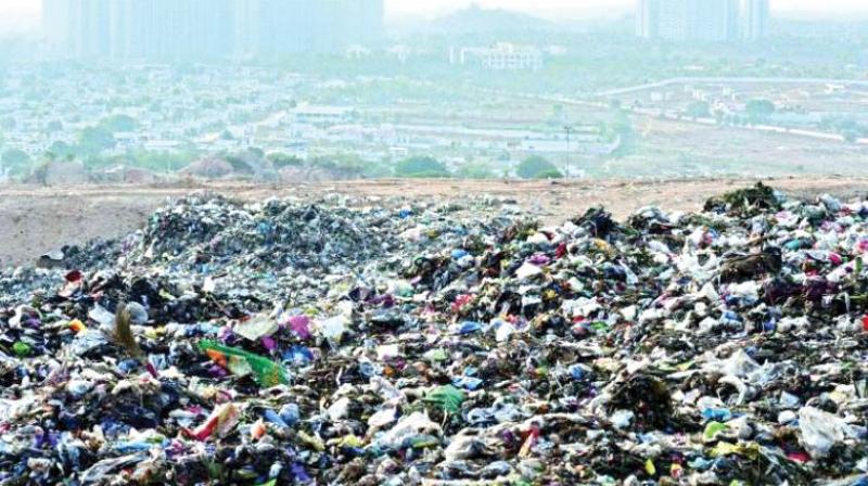Chennai grows and so do garbage mounds