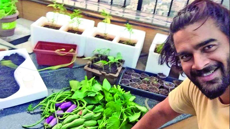The concept of urban farming is a hit with todays  generation, as many youngsters are tapping into this trend to bring about a sense of food justice into their everyday lives