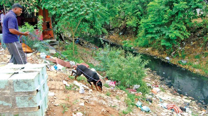 Police sniffer dogs pressed into service at a canal in Mogappair (West) where the victims body parts were first found (File photo)