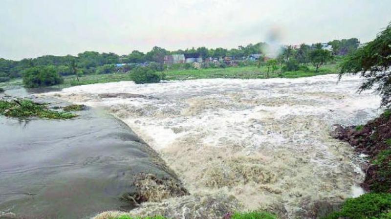 Apart from this even KC canal and SRBC canal in Kurnool district are full of faulty, creeky, slushy and rickety irrigation projects that are ready to wobble up and collapse caution engineers. (Photo: DC)